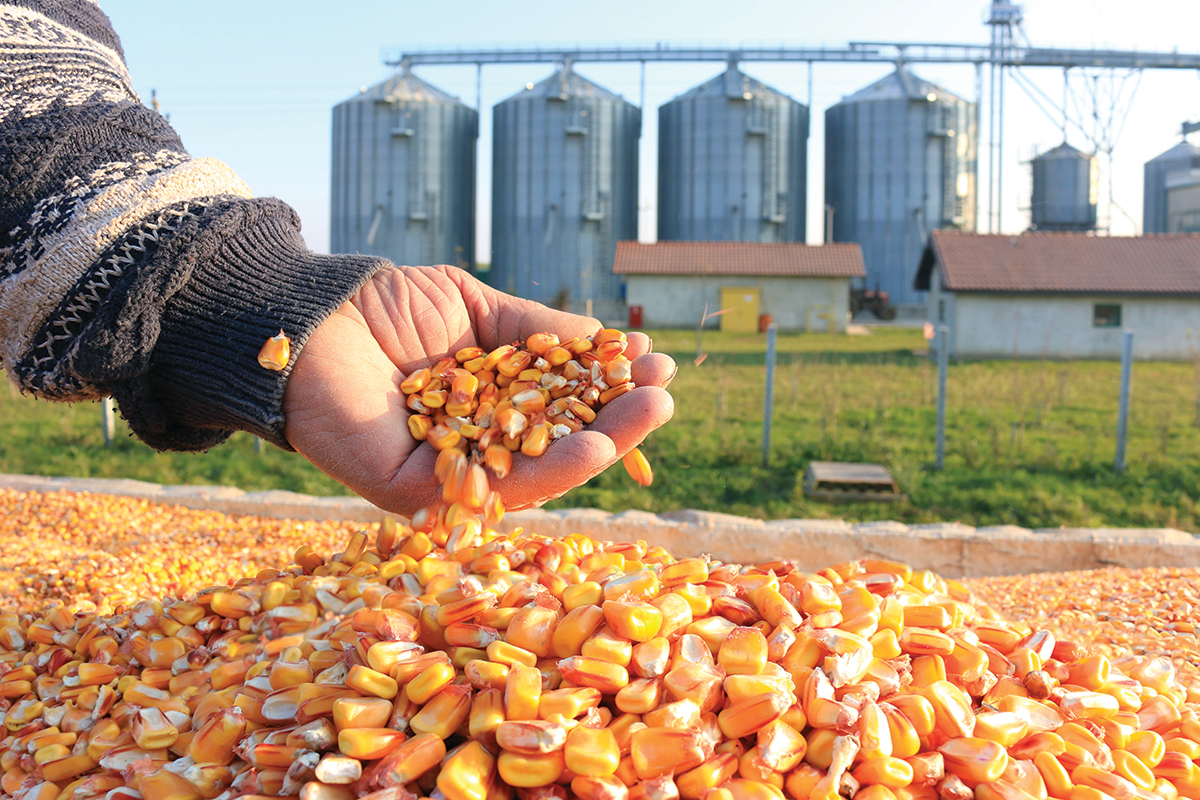 Fire & Explosion Mitigation for Grain Elevators