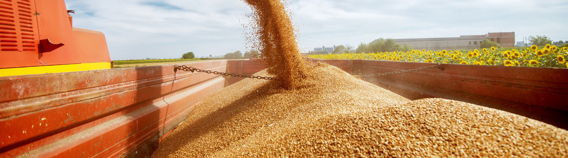 Featured image for “Quick Guide: NFPA Standards – Grain Industry”