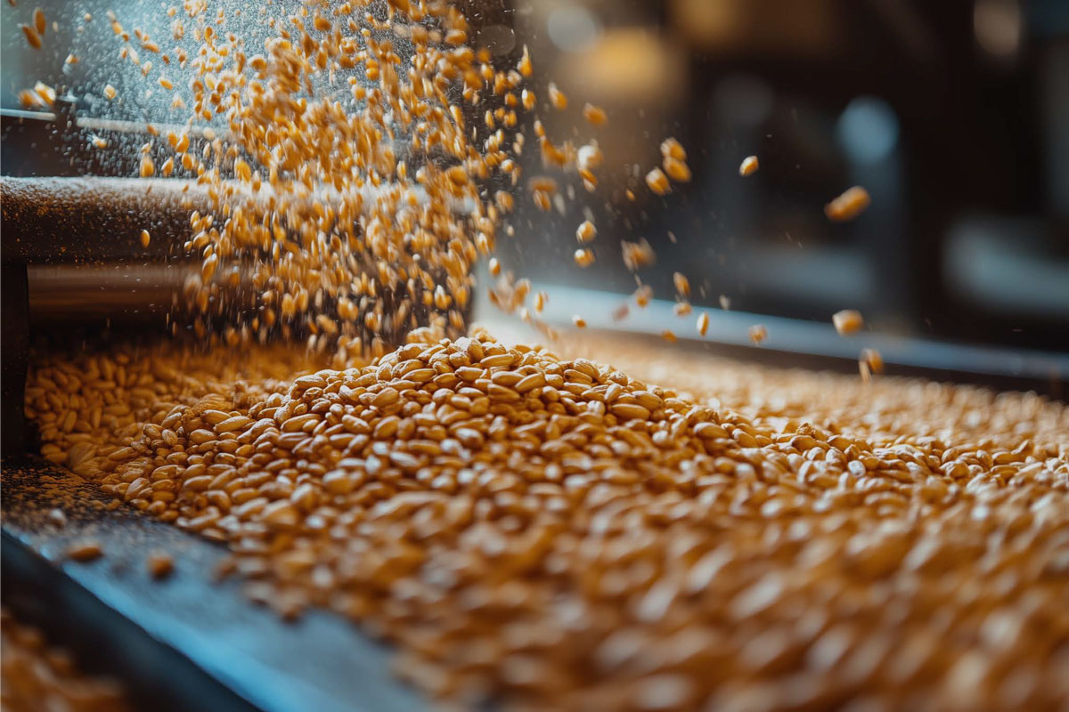Featured image for “CASE STUDY : General Bucket Elevator Operation”